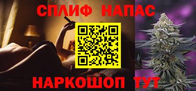 сатива Беслан