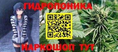 прущие грибы Апрелевка