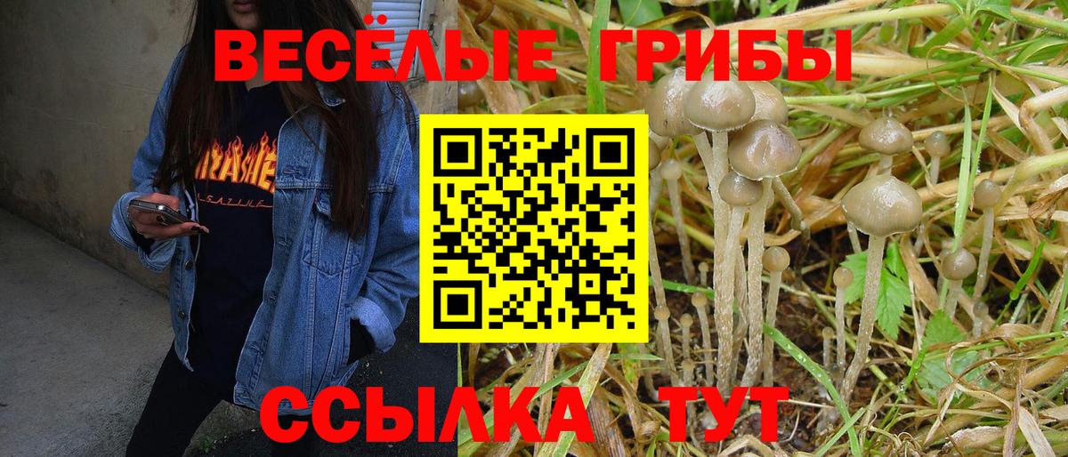 Псилоцибиновые грибы MAGIC MUSHROOMS Димитровград