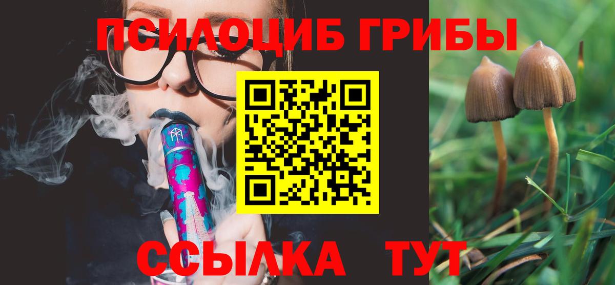 Псилоцибиновые грибы Cubensis  Вход с VPN  Димитровград  Псилоцибиновые грибы MAGIC MUSHROOMS 